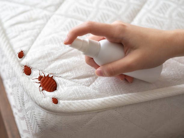 Best Best Pest Control Companies  in Overland, MO